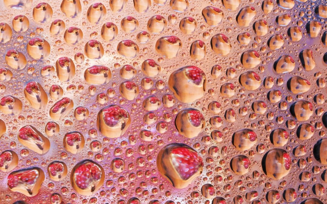 Photo reverse osmosis membrane