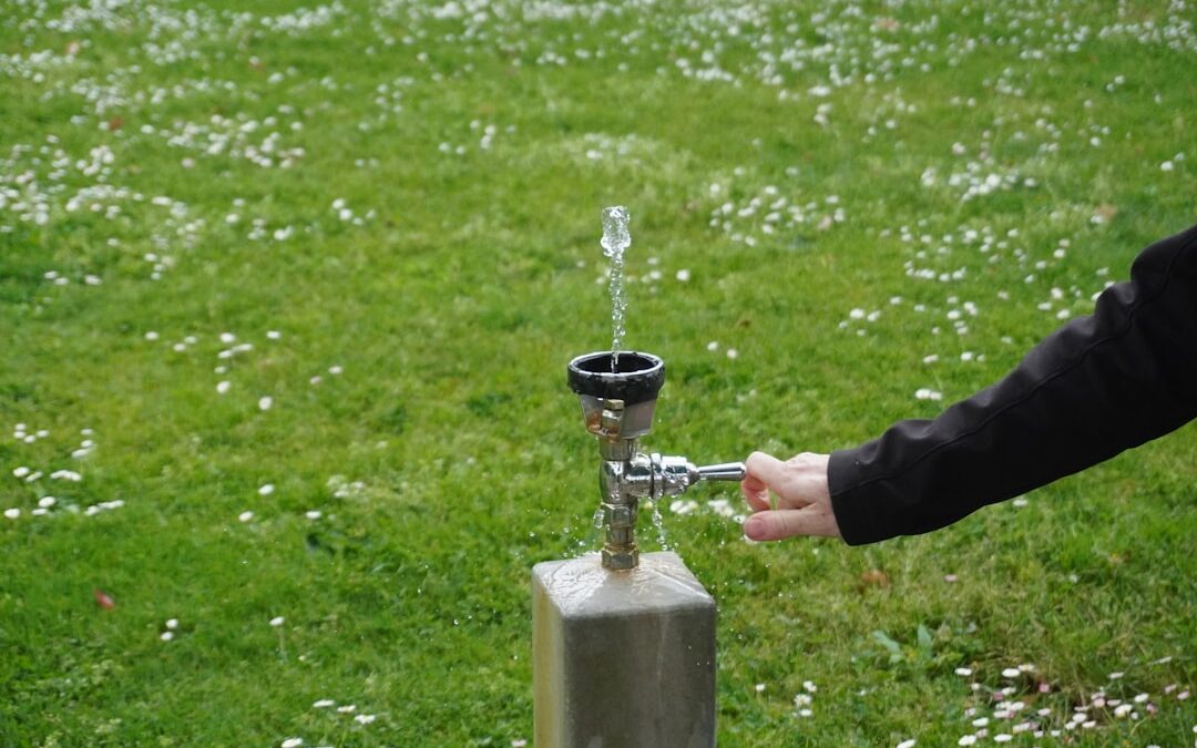 Voss víz rendelés: egészséges hidratálás otthon