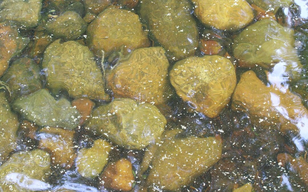 Frissítő szentkirályi ásványvíz 0,5l – Kiváló ár!