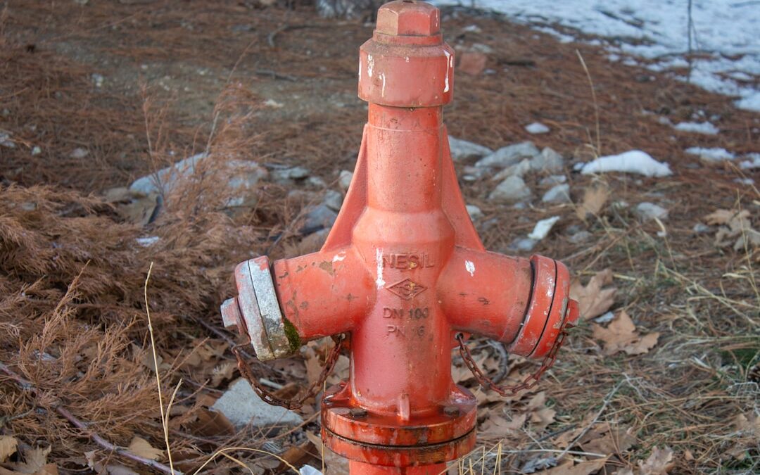 Photo water filter pitcher hazards