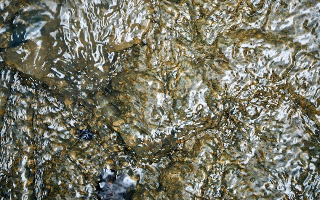 Aquafilter Aimro: Tiszta víz mindenki számára