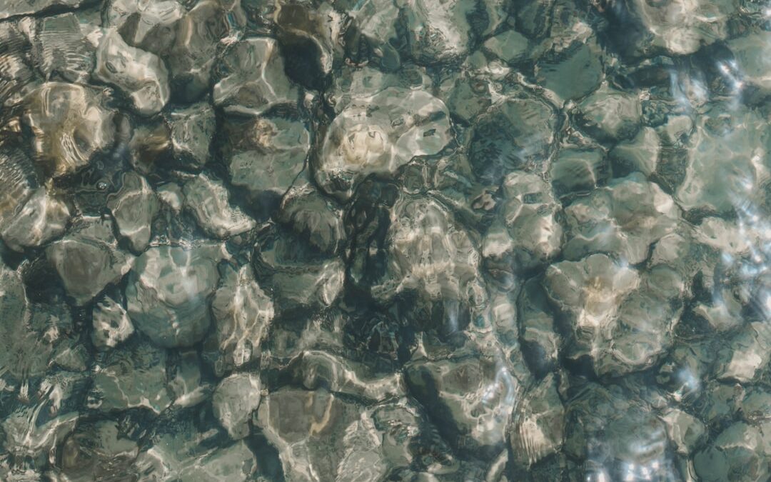 Aquafilter High: Hatékony központi víztisztító megoldás
