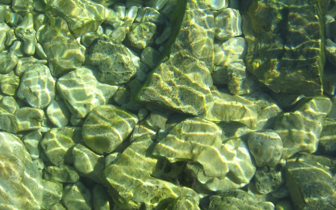 A Krups Claris Aqua Filter: Tiszta víz minden csészében