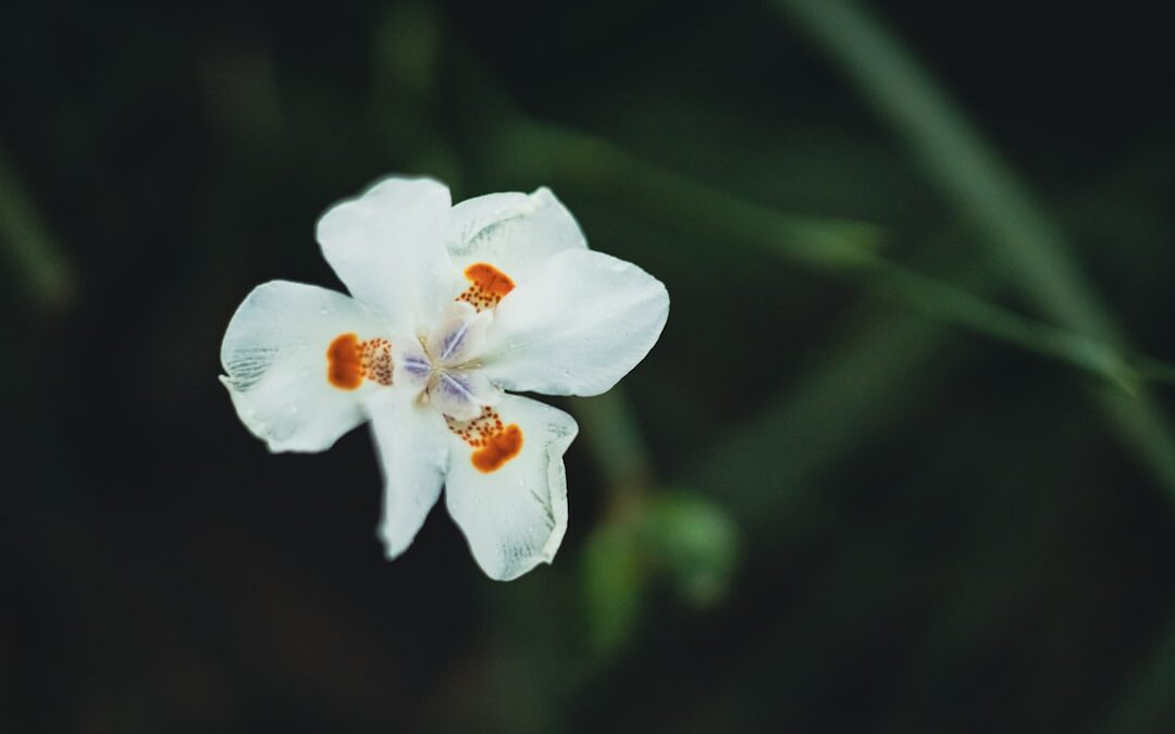 Photo agriaaqua