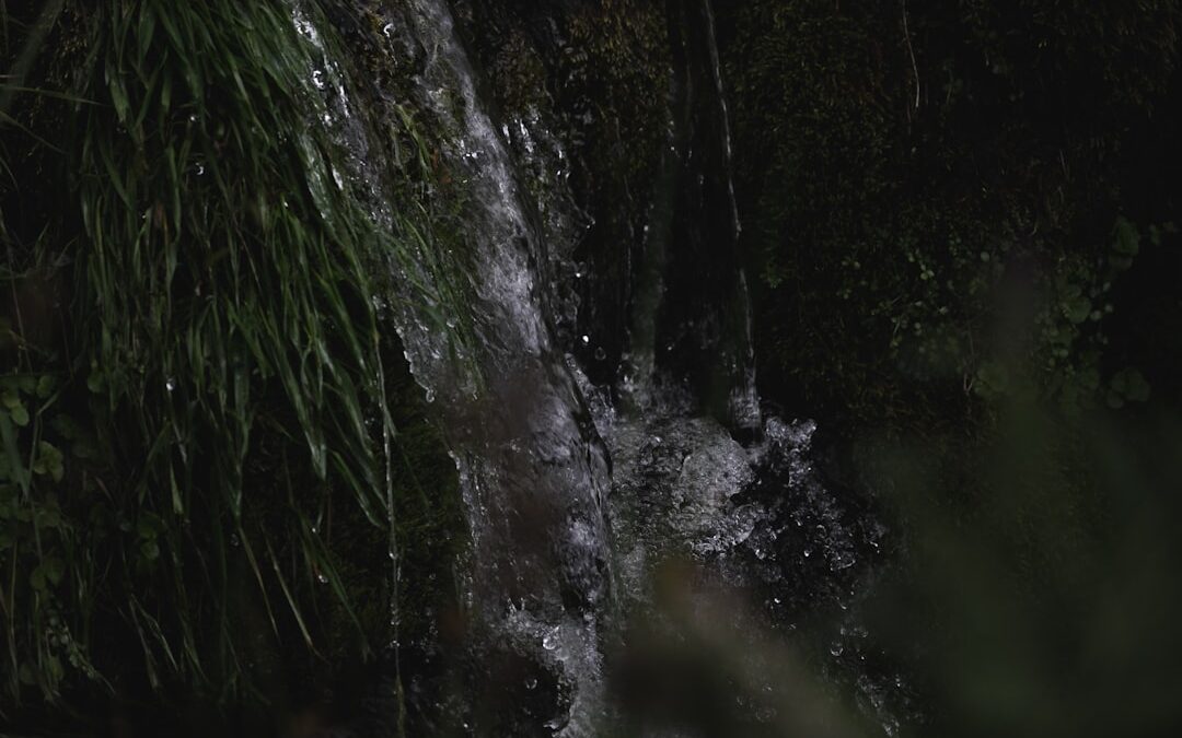 Natur Aqua: A természetes hidratálás forrása