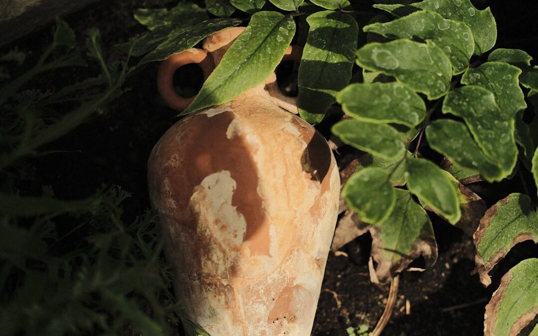 Photo tupperware water purifying pitcher