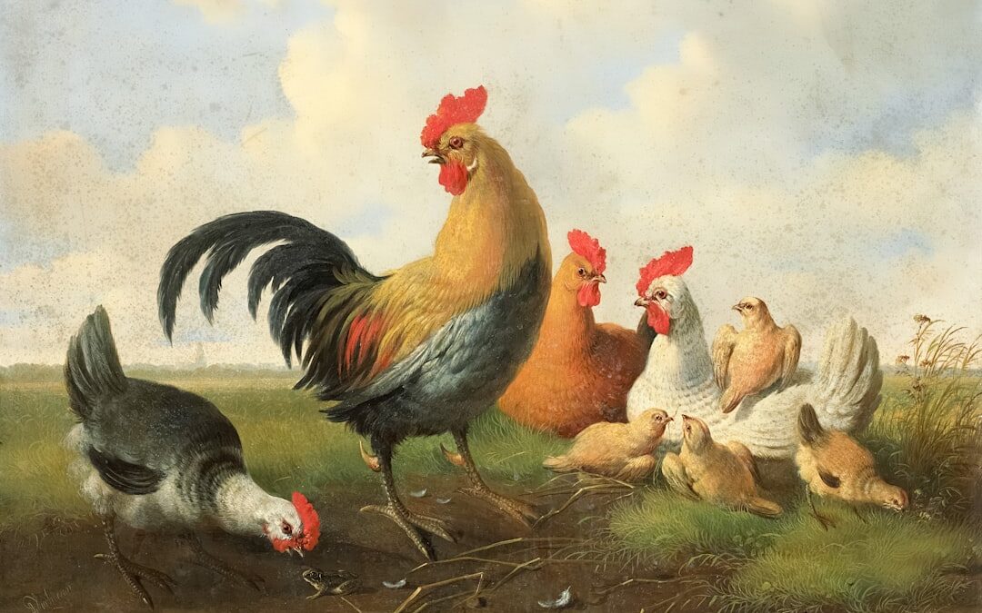 Nestlé Aquarel: Egészséges víz a mindennapokhoz