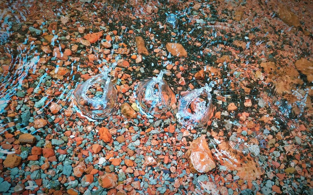 Photo vivien ásványvíz