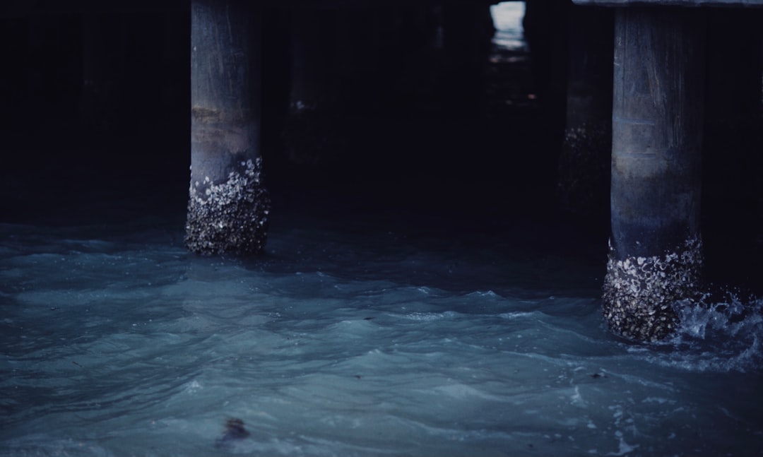 Photo Berkey vs Aquasana