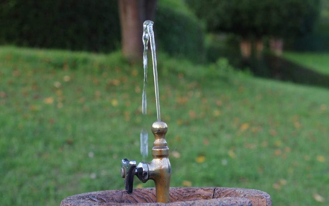 A Geyser Víztisztító: A Tiszta Víz Kulcsfontosságú Jelentősége