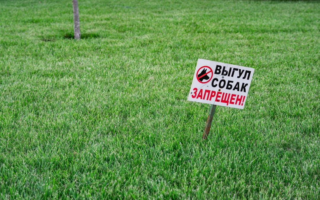 Photo Víztisztító bérlés