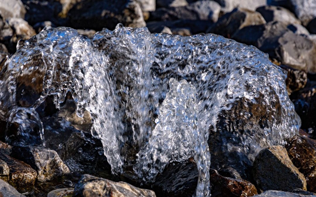 Photo water stagnation