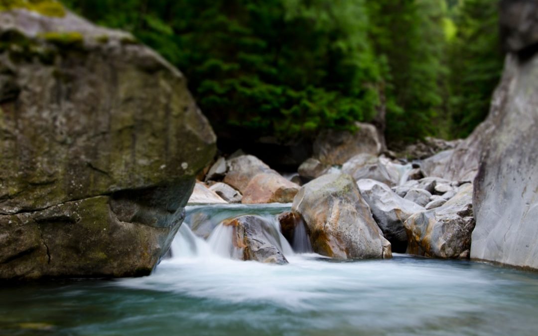 Photo water filtration