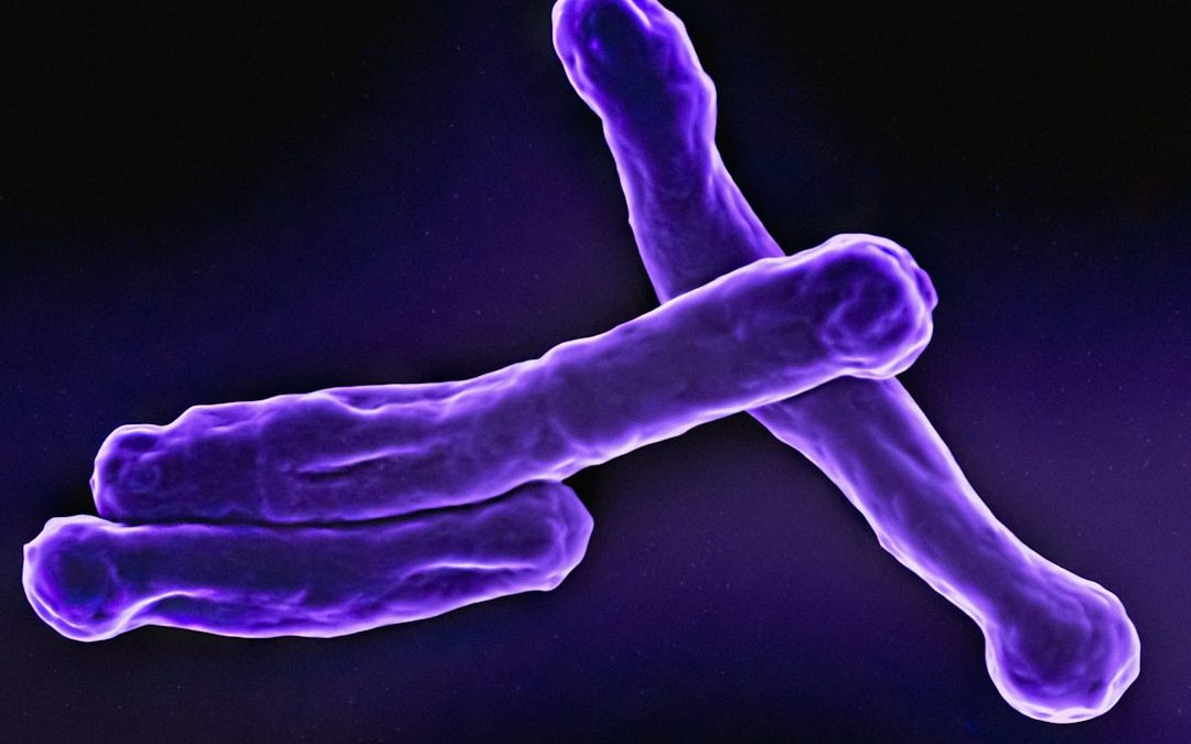 Photo bacteriophage UV biodosimetry