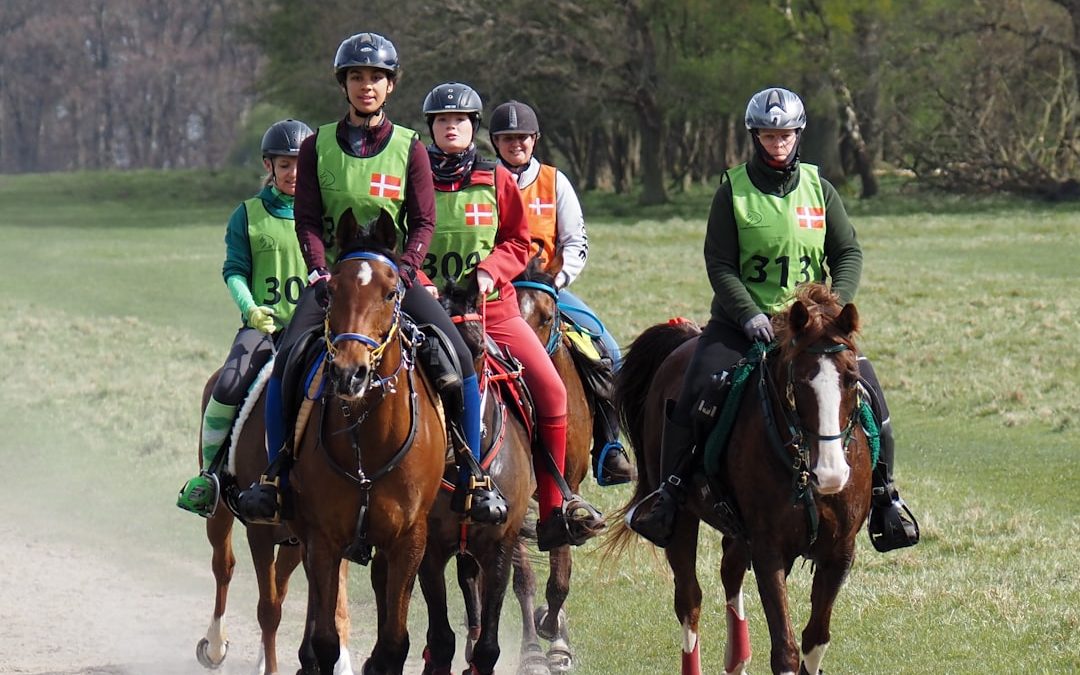 Photo Membránfelületi töltés