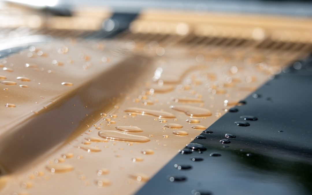 Photo RO membrane protection