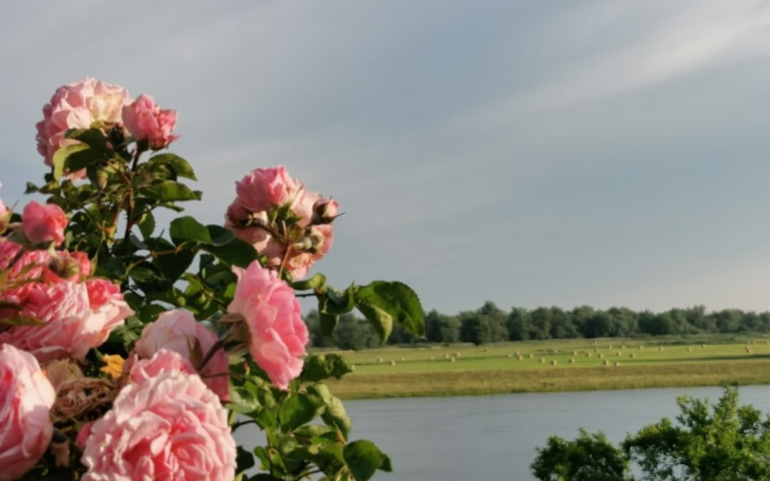 Photo Klórmaradék mérése