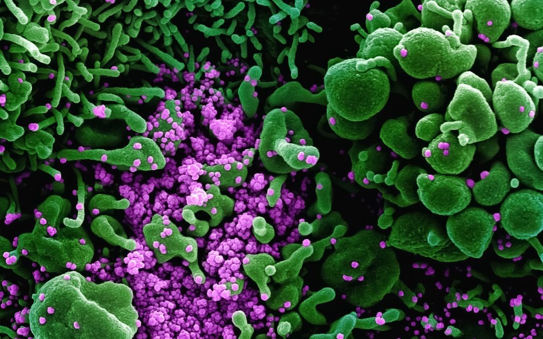 Photo microbiological risk