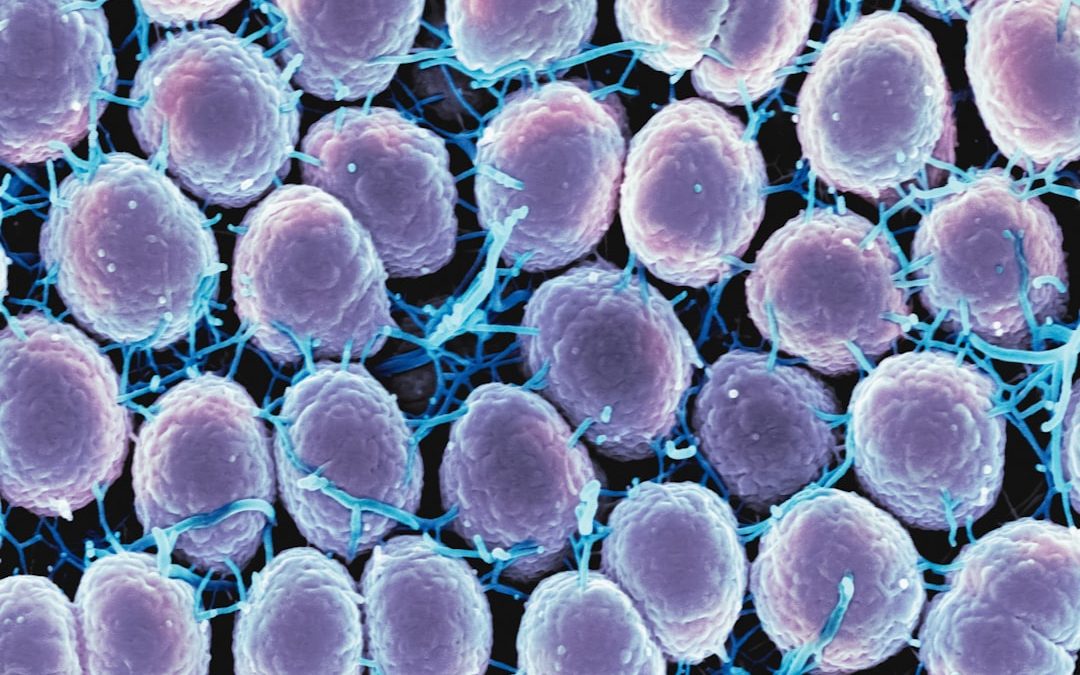 Photo microbiological membrane application