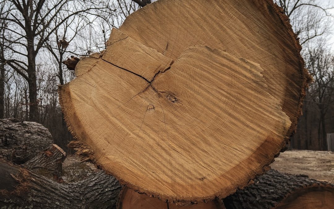 Photo log removal value