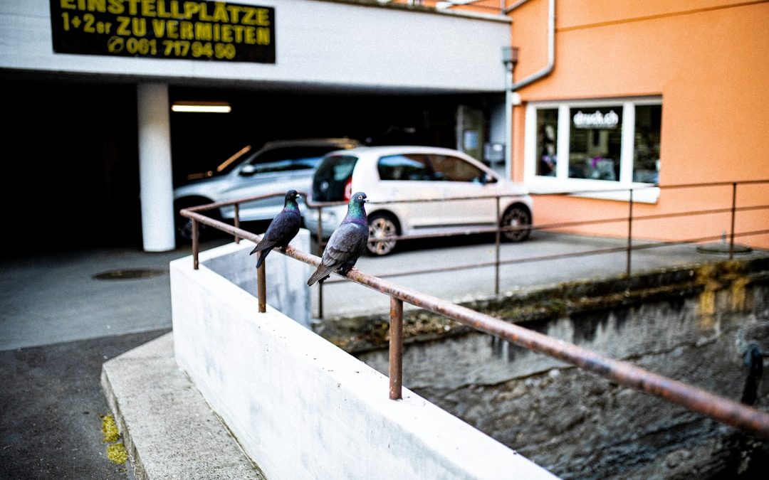 Photo víztisztító