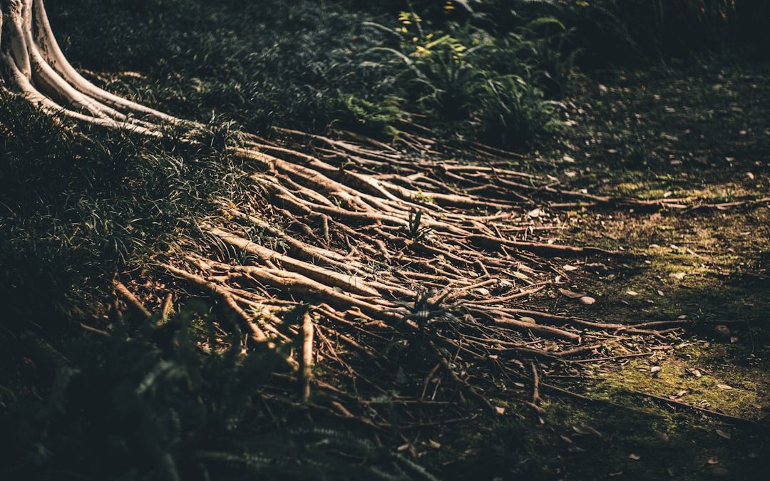 Photo Root cause analysis