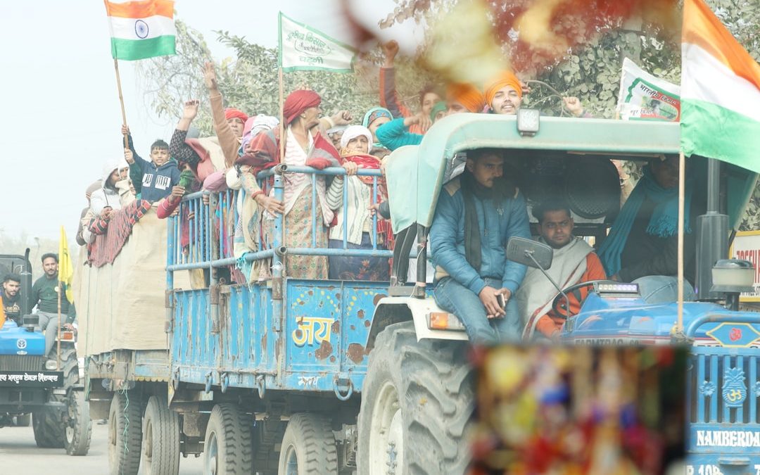 Photo indikátororganizmusok