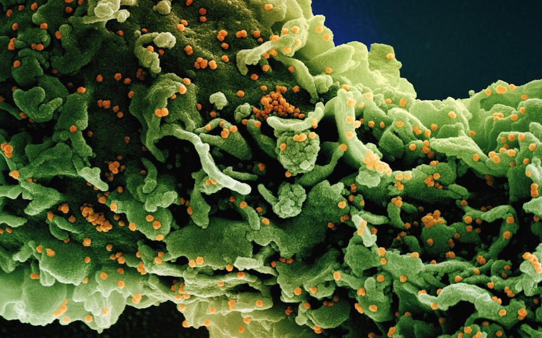 Photo microbiological growth potential