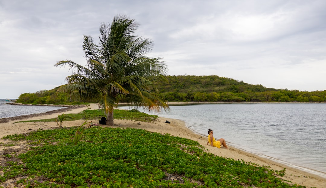 Photo Mangánoxidation