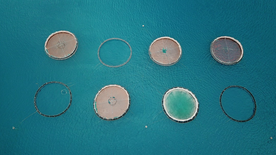 RO membrán spacer fouling: amikor az áramlási csatorna lesz a szűk keresztmetszet
