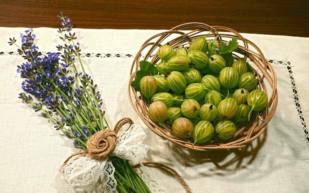 Photo baktériumos kútvíz