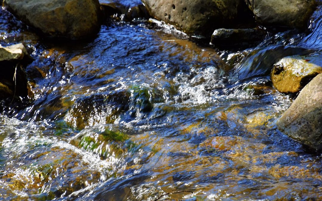 Photo TDS water quality assessment