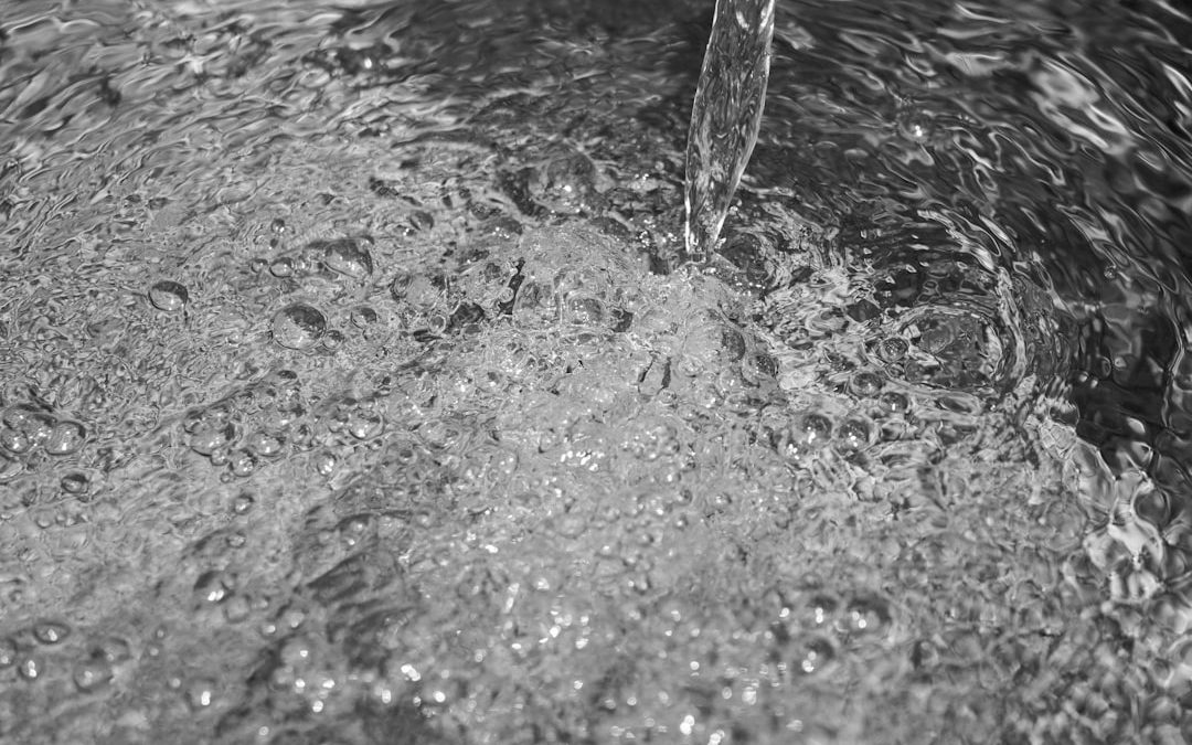 Photo Cooking with purified water