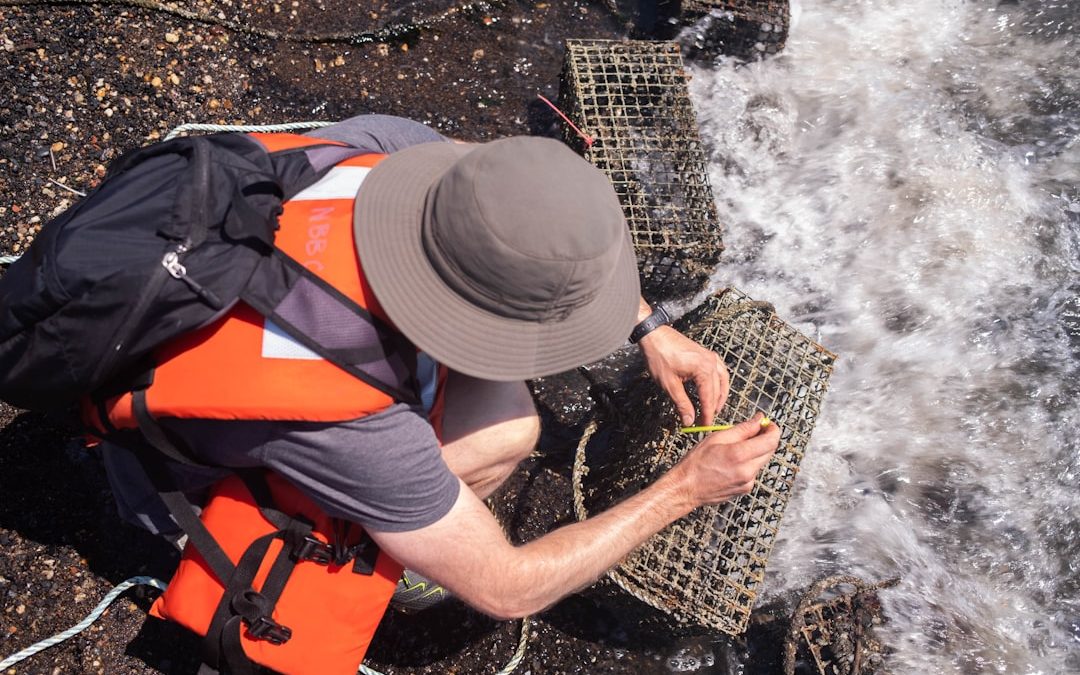 Photo Water purification survey