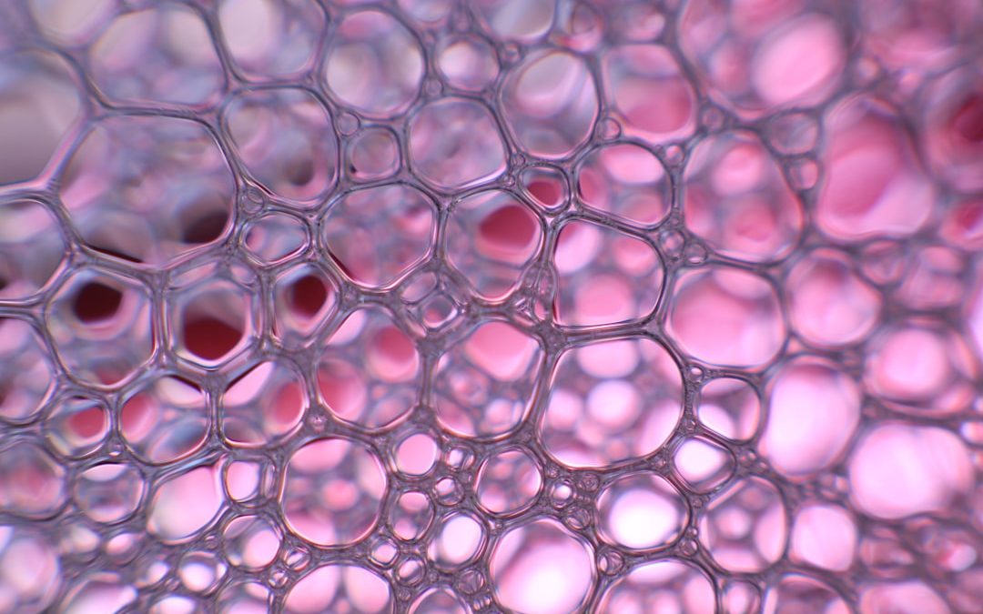 Photo ozmózis membrane