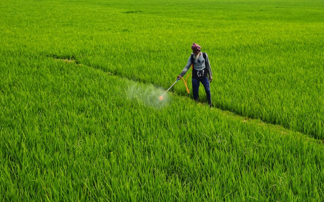 Photo pesticide filtration
