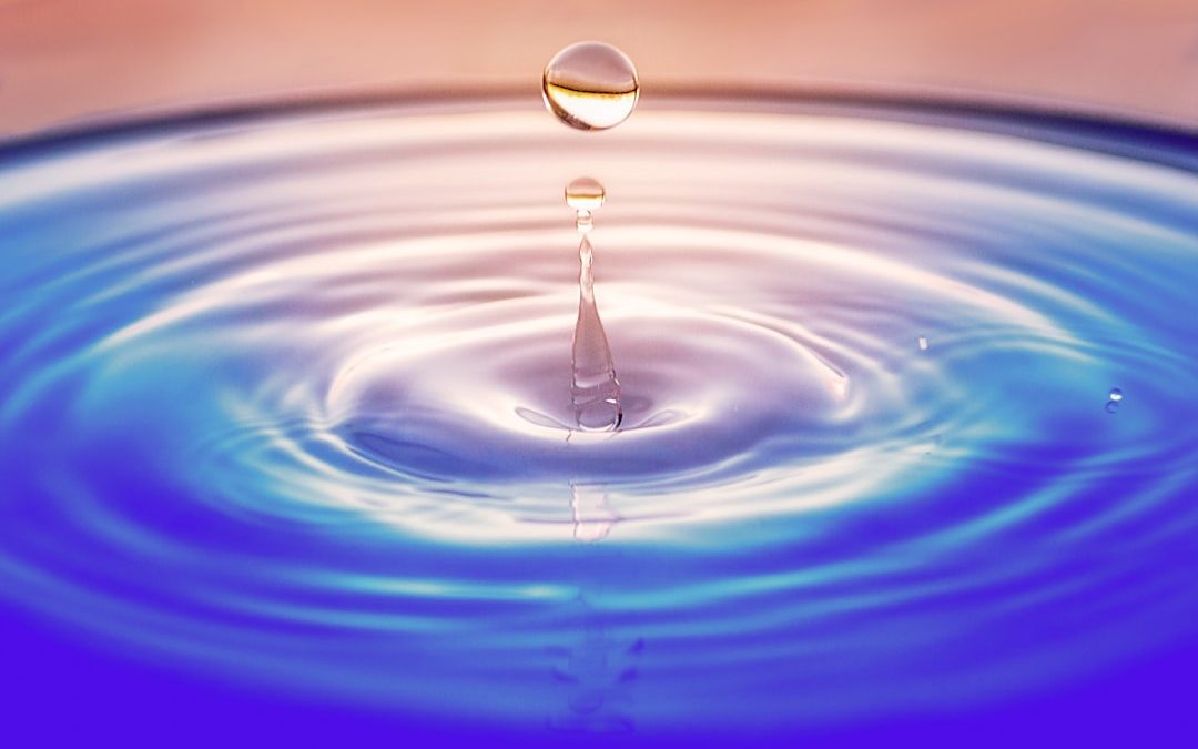 Photo water filtration