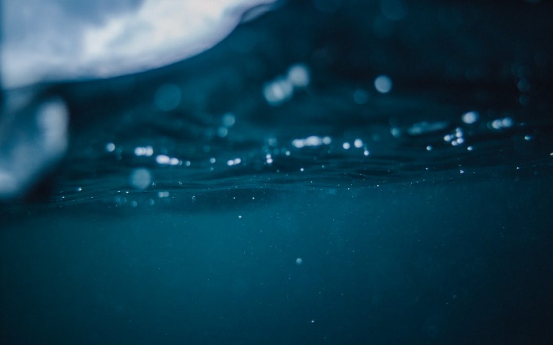 Photo water turbidity