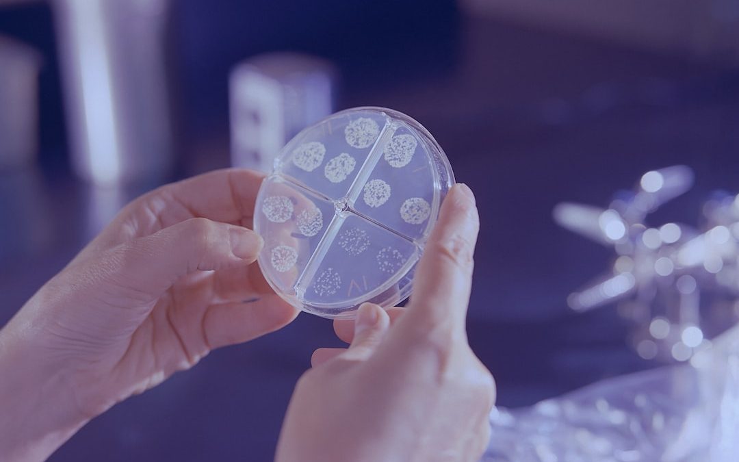 Photo Legionella testing