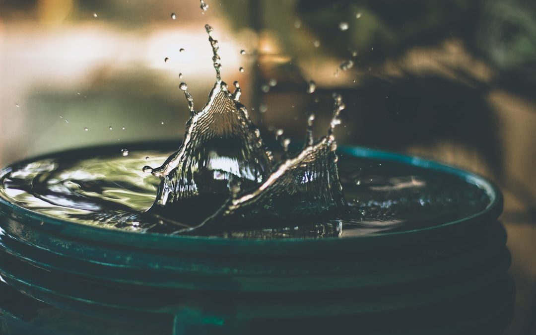 Geyser Euro Csapra Szerelhető Vízszűrő: Vélemények